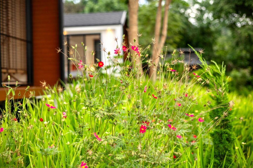 เลควิว 4