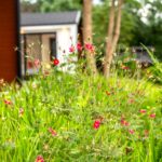 เลควิว 4