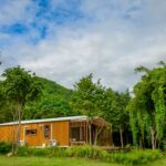 เลควิว 3